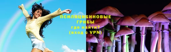 бошки Богородск