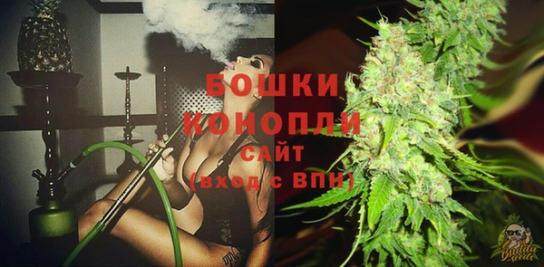 спиды Богданович