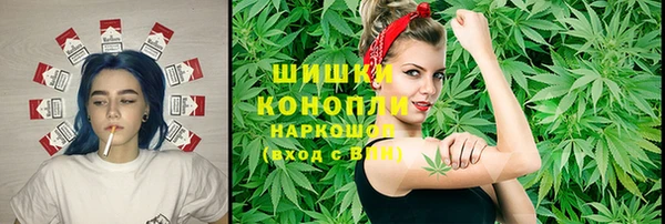 спиды Богданович