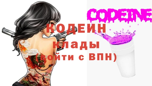 спиды Богданович