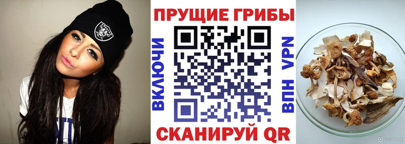 Галлюциногенные грибы ЛСД  Чадан 